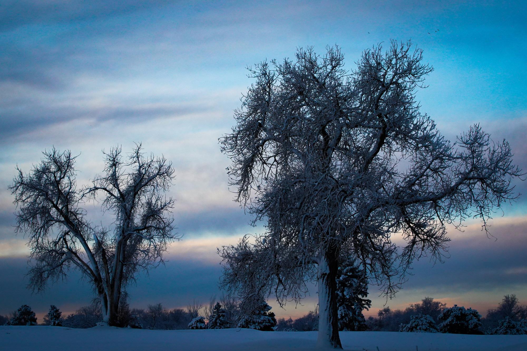 20221229-DENVER-SNOW-COWX-WEATHER