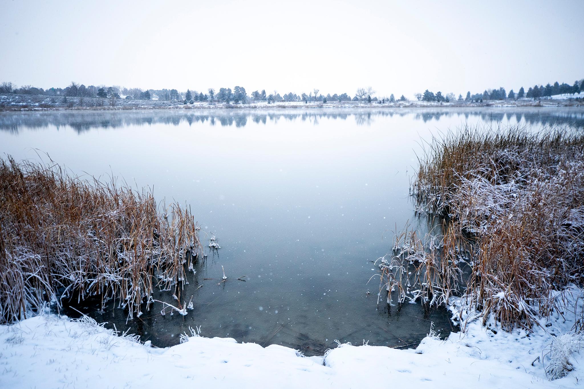 Berkeley Lake on a snowy morning. Nov. 25, 2023.