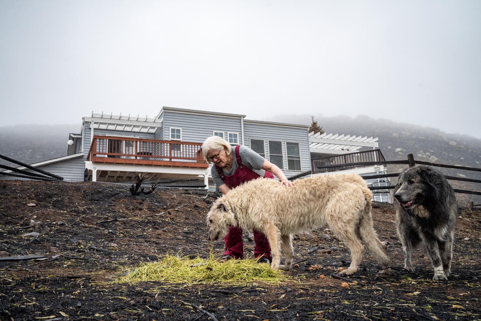 Suzanna Simmons holds her Irish Wolfhound Keeley outside her Stone Canyon home