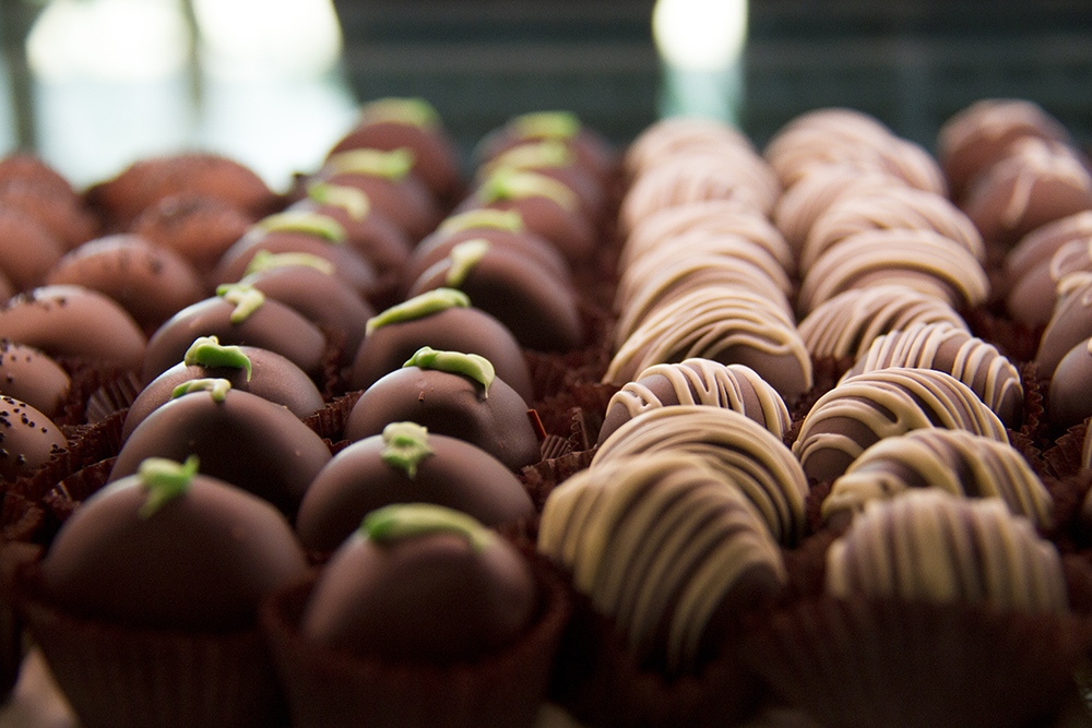 Rows of chocolate candies