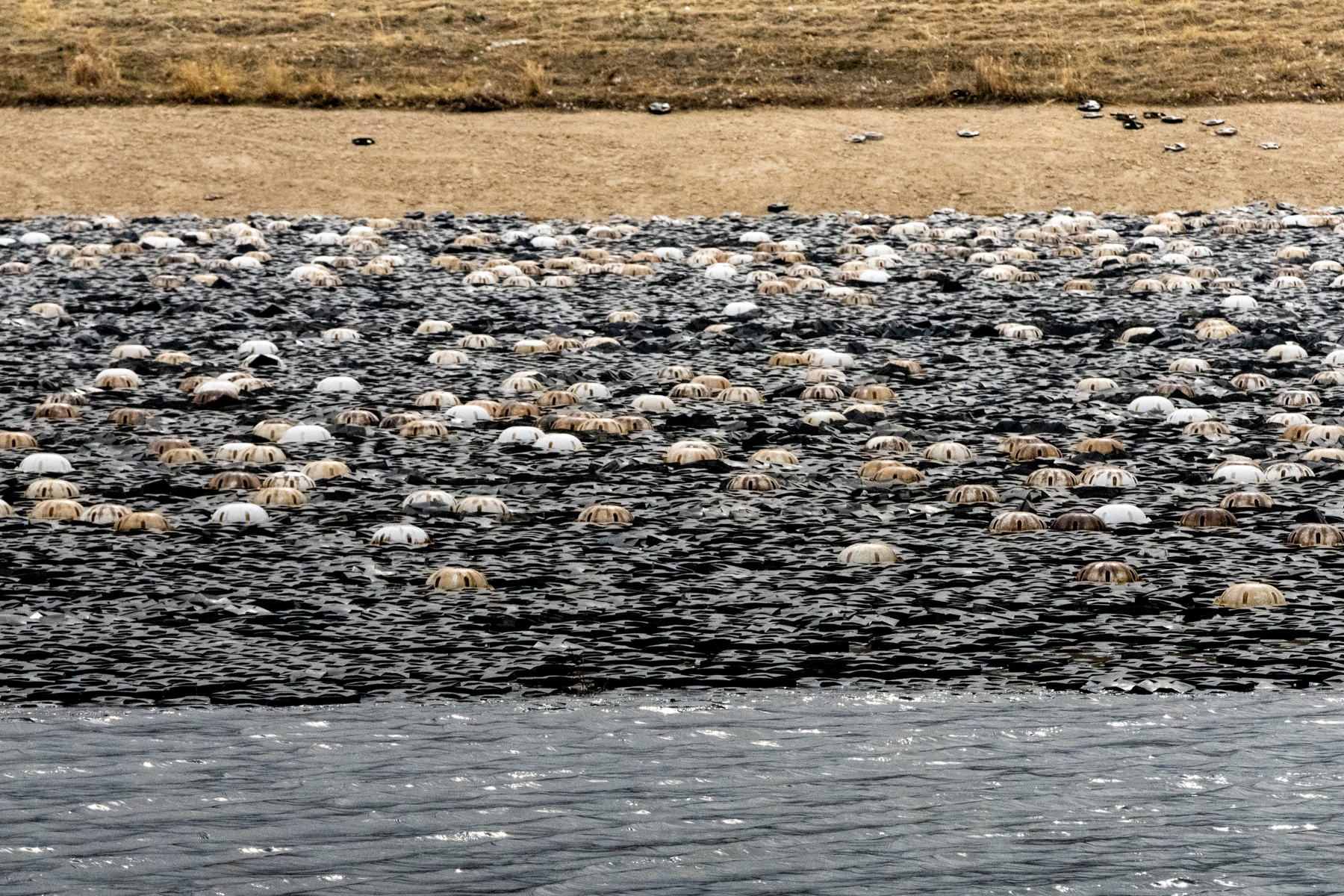 South Platte River water arrives at the Peter D. Binney Purification Plant near Aurora Reservoir